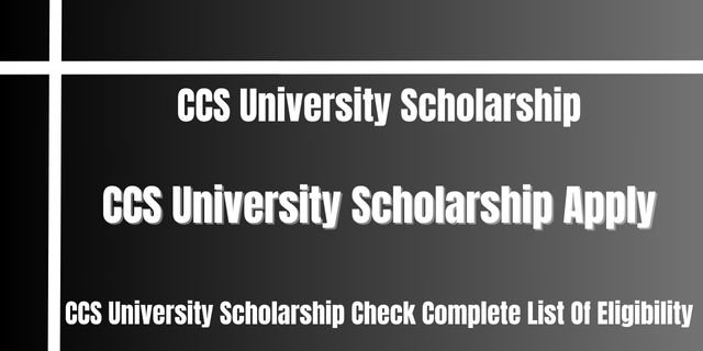 CCS University Scholarship