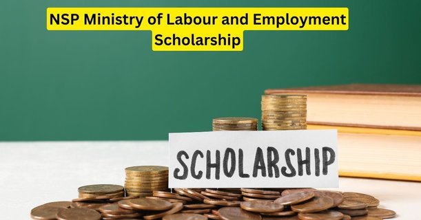 NSP Ministry of Labour and Employment Scholarship